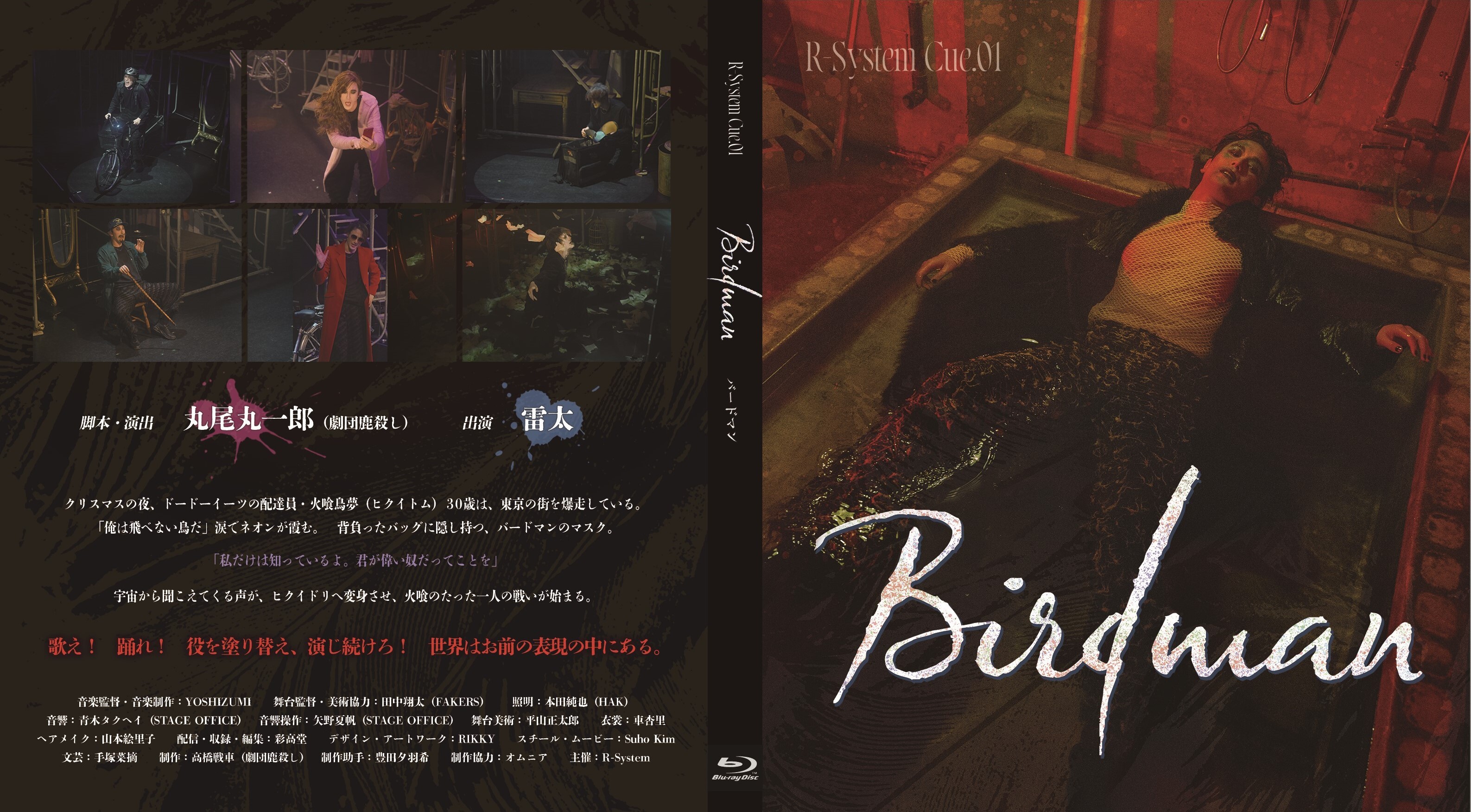 希少 愛鳥家専門誌 ALL BARD オールバード 1987年 創刊号〜 88冊 愛鳥家専門誌 ALL BIRDS(オールバード)2016年1月号 |本 | 通販