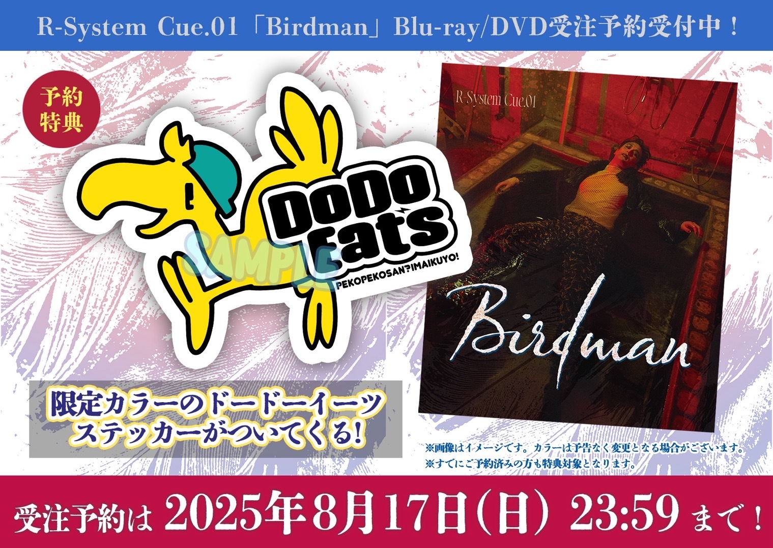 R-System Cue.01「Birdman」DVD | 雷太 | RAITA OFFICIAL SITE